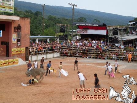 donangel1102-01 ¡ Ufff casi lo agarra ¡