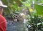 guayaco guayaco