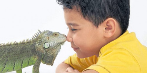 Por sus docilidad, este reptil se ha convertido en el mejor amigo de este niño.Foto ElTiempo