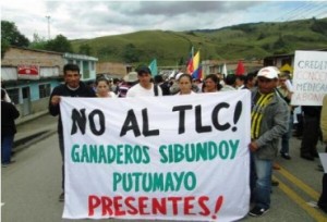 Los ganaderos del Putumayo apoyan el paro en especial por las afectaciones de los TLC. Foto: tomada de @pauloriom.