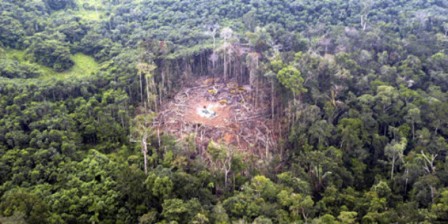 La deforestación en la Amazonía avanza sobre las 87 mil hectáreas de bosque.