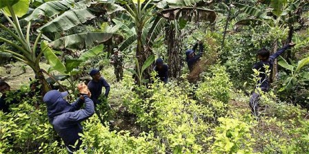 Foto: Archivo EL TIEMPO En el 2008, Ecuador demandó a Colombia ante la Corte Internacional de Justicia por los presuntos daños causados a cultivos de ecuatorianos por las fumigaciones de las autoridades colombianas.