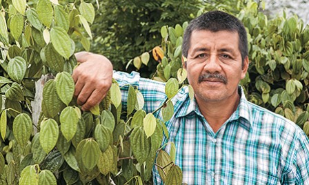 Rodrigo Trujillo es el gerente de Condimentos Putumayo. Aunque disfruta más de la vida en el cultivo, su capacidad de liderazgo lo llevó a convertirse en la cabeza del proyecto.