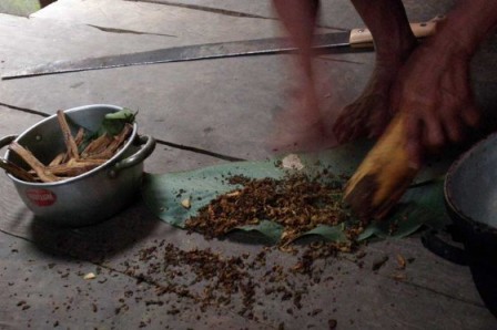 Seis pacientes con depresión recibieron una dosis de ayahuasca en Brasil y mostraron una mejoría de su estado. 