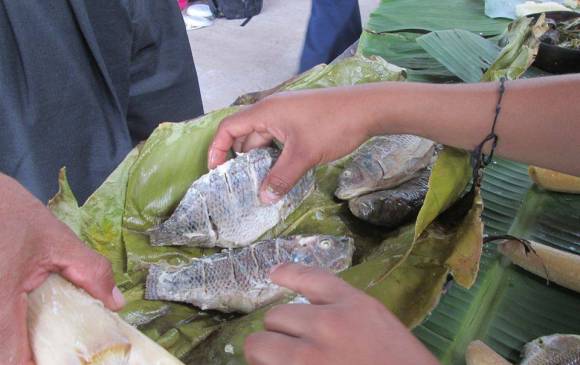 1.Cocinar en hojas de bijao es una tradición de la cultura Awajun (Perú) que se comparte en redes. 2 -3. Con piezas didácticas se difunde la lengua del pueblo mapuche (Chile). 4.Rodrigo Pérez realiza videos en zapoteca disste (México). 5. Tres semana duró Renata Flores grabando un audio en quechua (Perú). 1.Cocinar en hojas de bijao es una tradición de la cultura Awajun (Perú) que se comparte en redes. 2 -3. Con piezas didácticas se difunde la lengua del pueblo mapuche (Chile). 4.Rodrigo Pérez realiza videos en zapoteca disste (México). 5. Tres semana duró Renata Flores grabando un audio en quechua (Perú).