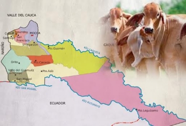 Es necesario robustecer los controles por parte de las autoridades para evitar que el contrabando continúe y lograr formalizar la actividad entre los 2 países. Foto: CONtexto Ganadero.