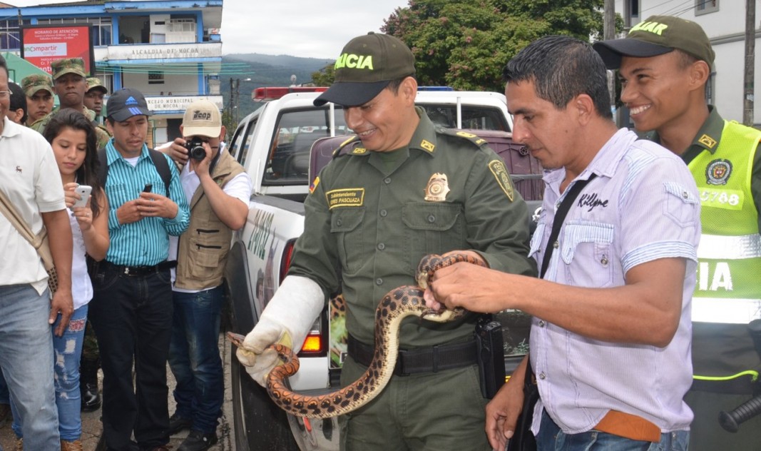 En Putumayo Policía Nacional incauta 14 especies silvestres