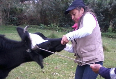 La mujer ganadera del Putumayo se destaca por su dedicación y entrega a la hora de hacer las labores del campo. Foto: Ana Patricia Coral.