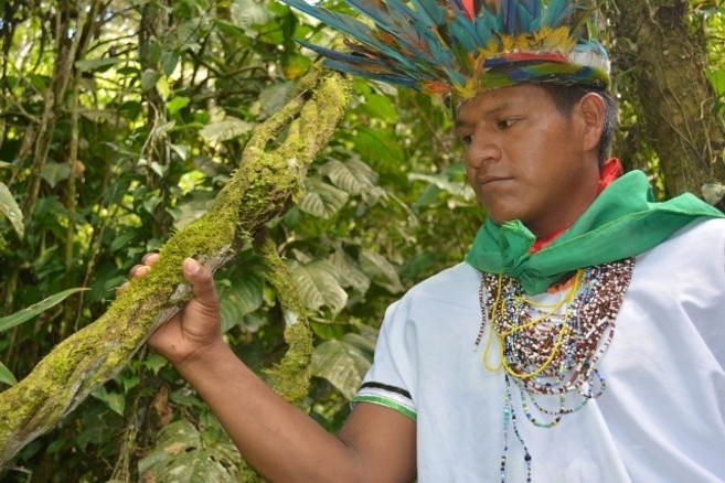 Imagen tomada durante la ruta del Yagé EL MUNDO