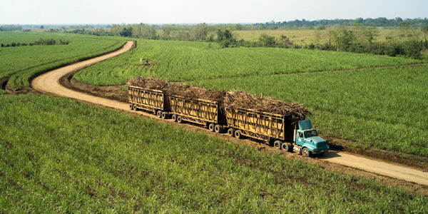 Foto: Archivo / EL TIEMPO El Valle del Cauca es un departamento privilegiado en tierras para desarrollar proyectos de alimentos.