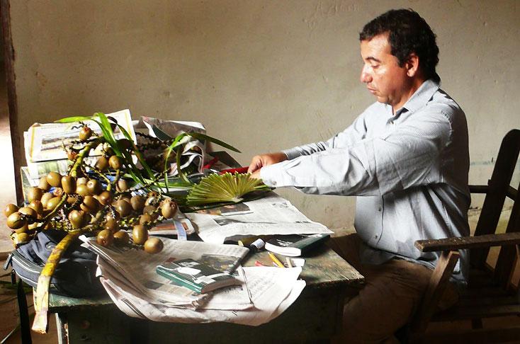 decalogo-plantas-colombia