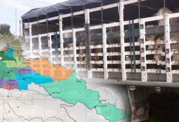 Las amplias zonas de frontera de Colombia con países como Ecuador y Venezuela son difíciles de controlar. Foto: CONtexto ganadero.