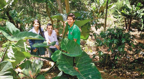 Elkin junto a sus dos compañeros con los que inició el proyecto en el colegio. / Cortesía