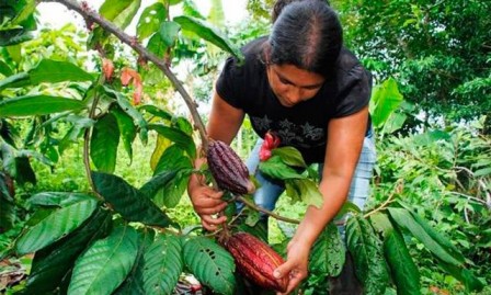 Gobierno aprueba proyectos para pequeños productores que beneficiarán a más de 10.000 familias
