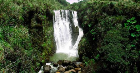 El Parque Nacional Natural de Puracé está entre los departamentos de Cauca y Huila. En este parque nacen los principales ríos de Colombia: Magdalena, Cauca, Patía y Chaqueta, además de 30 lagunas. (Foto: Cortesía DTAO.)