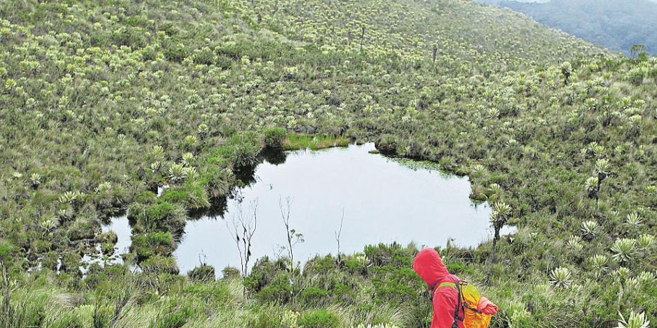 Colombia posee el 60 por ciento de los páramos del planeta.Se ha logrado reducir la deforestación en un 12 por ciento pasando de 140.356 hectáreas a 124.035 hectáreas.