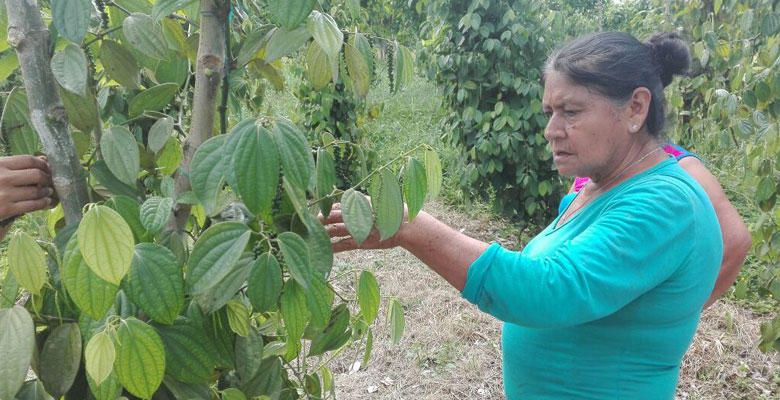 agencia-de-tierras_formalizacion_putumayo03