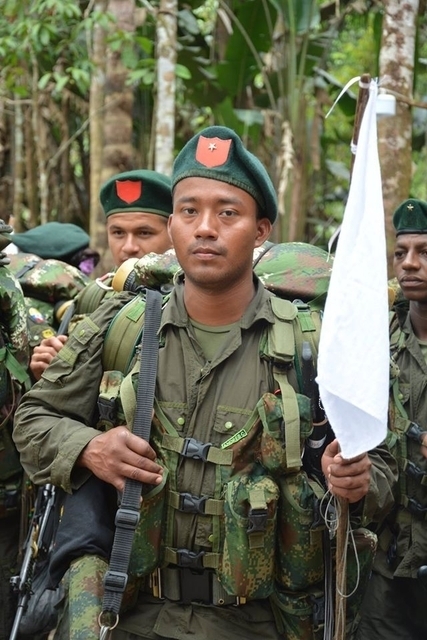 3-farc