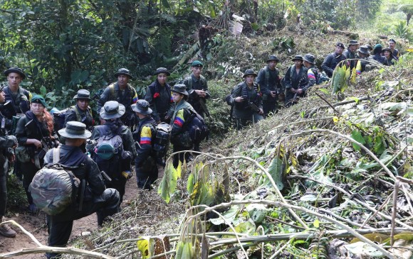 A medida que la tropa de las Farc se agrupa en las zonas veredales transitorias, crece el interrogante sobre qué pasará con sus negocios en los territorios abandonados. FOTO: Donaldo Zuluaga.