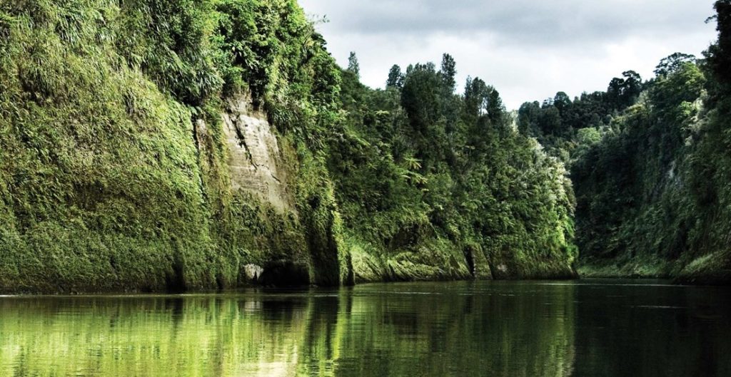 El río Whanganui es uno de los más importantes de Nueva Zelanda, y se encuentra en la reserva natural con el mismo nombre. / Foto: Tourism New Zealand for Bridge to Nowhere, Whanganui River y Old Coach Road