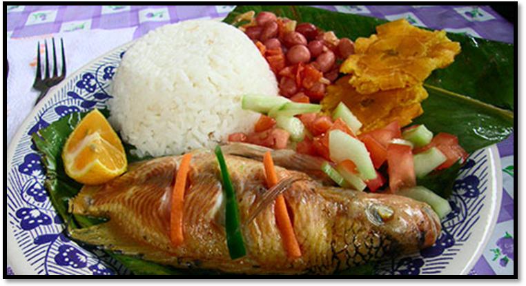 Foto: http://www.quitoadventure.com/espanol/cultura-gente-ecuador/comida-ecuador/comida-ecuador-amazonia.html